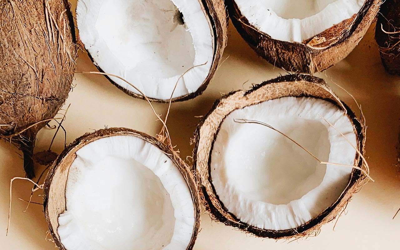Coconut - Premium ingredient for dog nutrition
