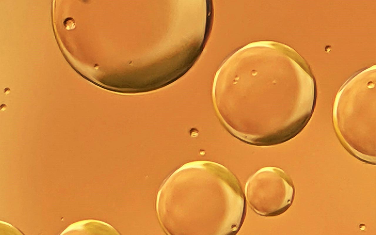 Salmon Oil - Premium ingredient for dog nutrition