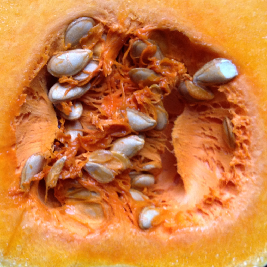 Butternut Squash - Premium ingredient for dog nutrition