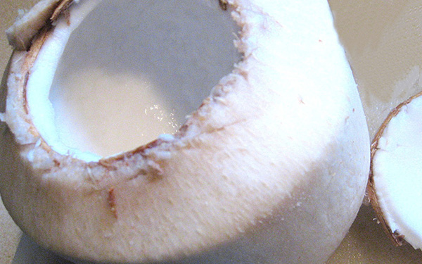 Coconut - Premium ingredient for dog nutrition