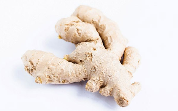 Ginger - Premium ingredient for dog nutrition