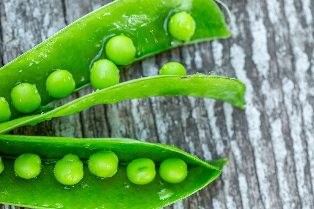 Peas - Premium ingredient for dog nutrition