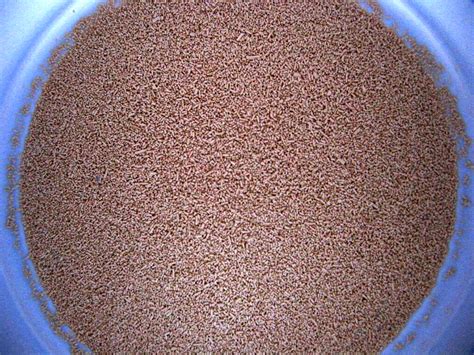 Yeast - Premium ingredient for dog nutrition
