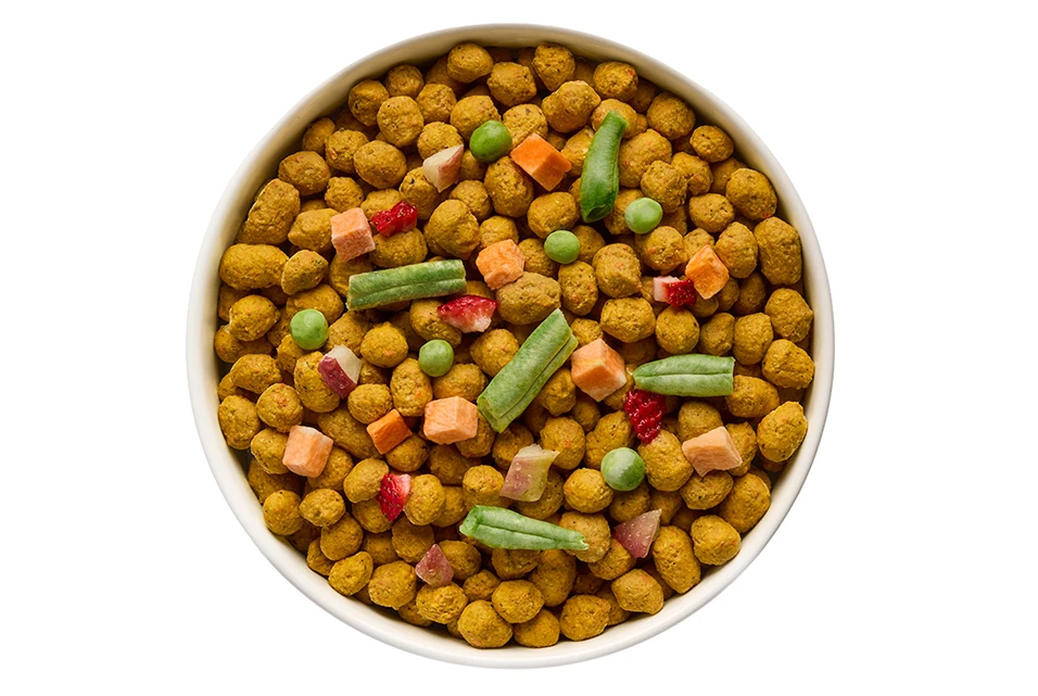 Premium freeze-dried dog food with natural ingredients