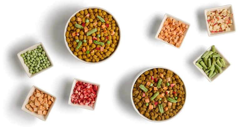 Collection of premium freeze-dried dog food recipes with wholesome ingredients