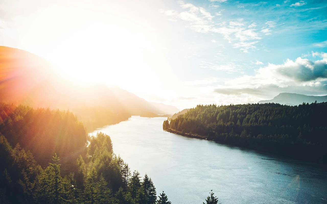On the shore of the beautiful Columbia river, a team of passionate pet lovers and scientists work together to improve dog healthspan and lifespan