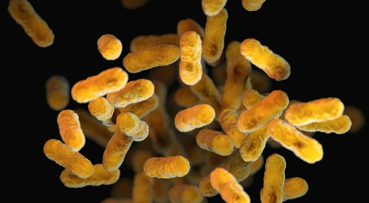 Gut health microbiome testing kit - Premium diagnostic tools